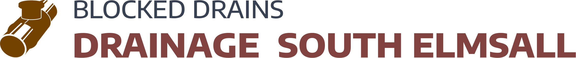 website logo